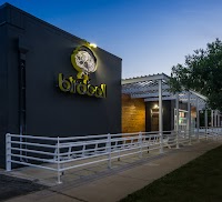 Photo of Birdcall