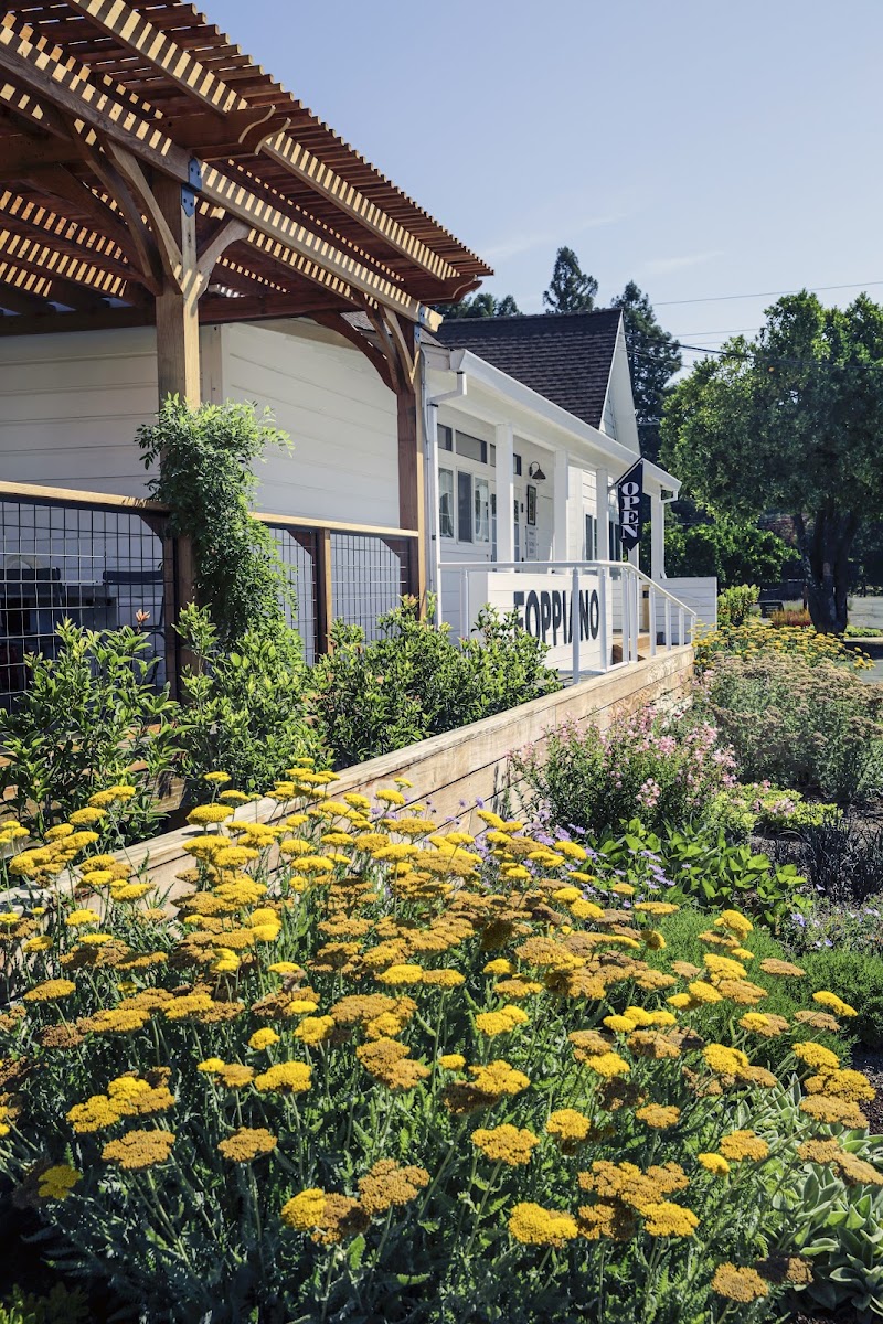 Foppiano Vineyards and Winery