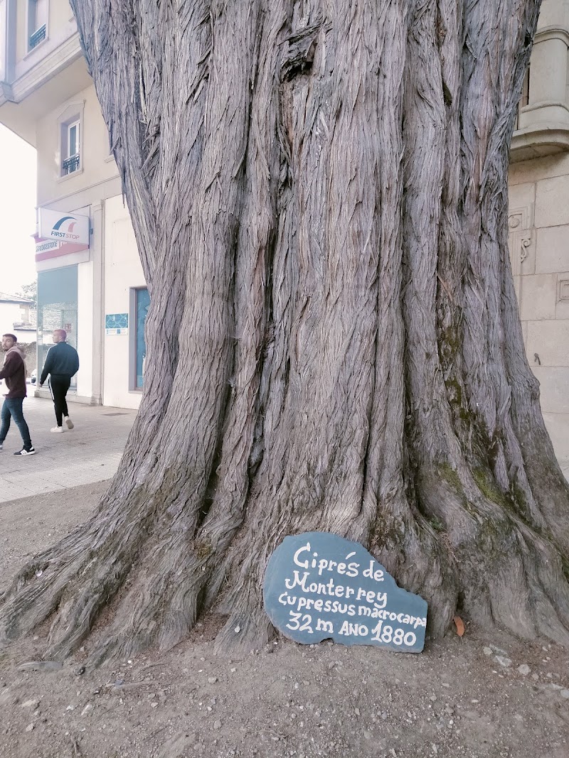 First Stop Palacios Total Car Viveiro photo 2