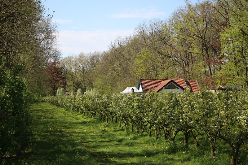 Landgoed de Olmenhorst