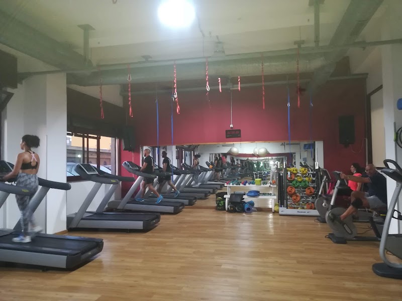 Tribe Social Fitness