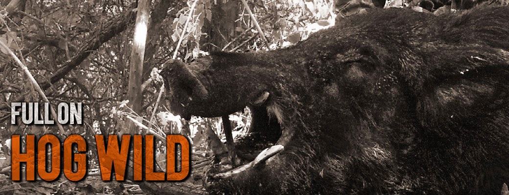No Mercy Hunting Services, L.L.C.