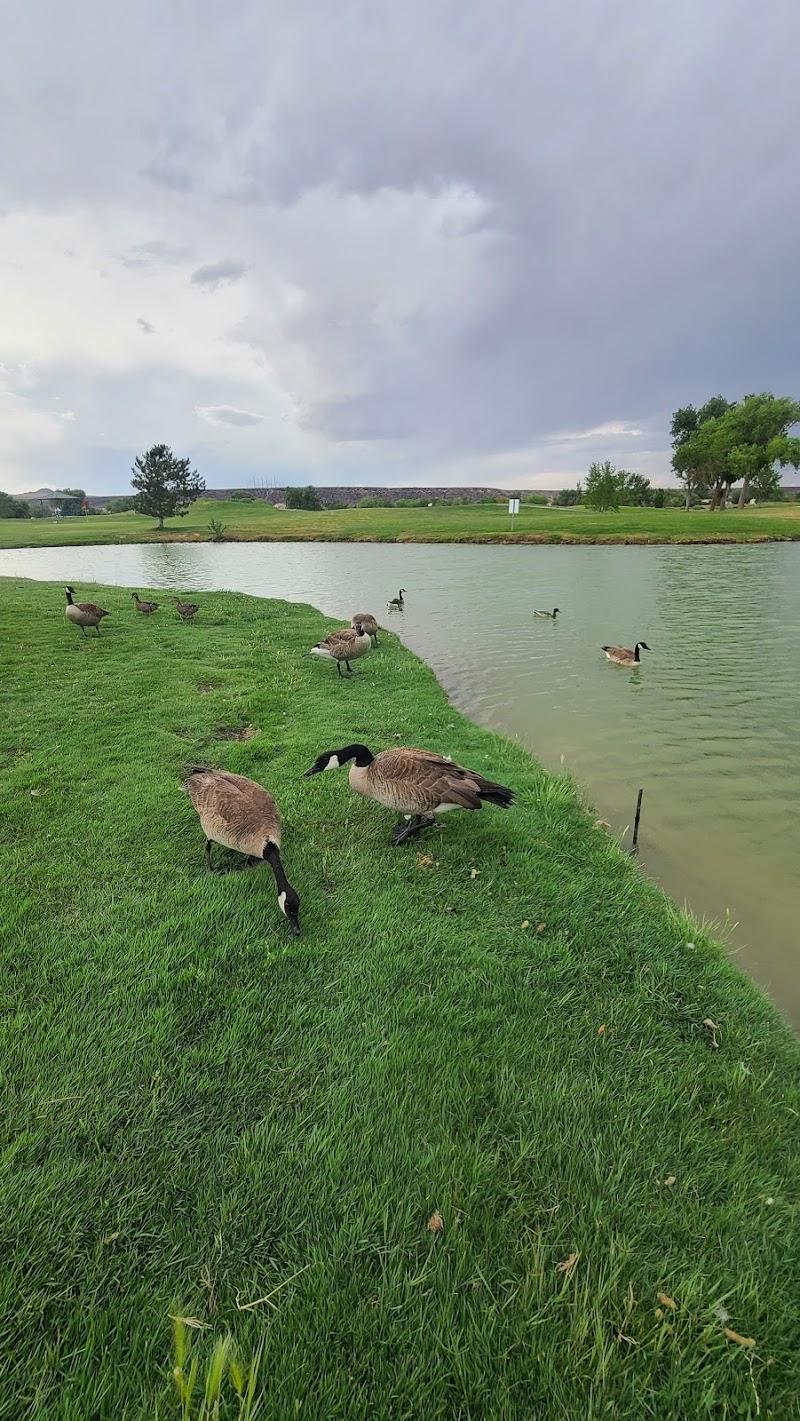 Ladera Golf Course photo 3