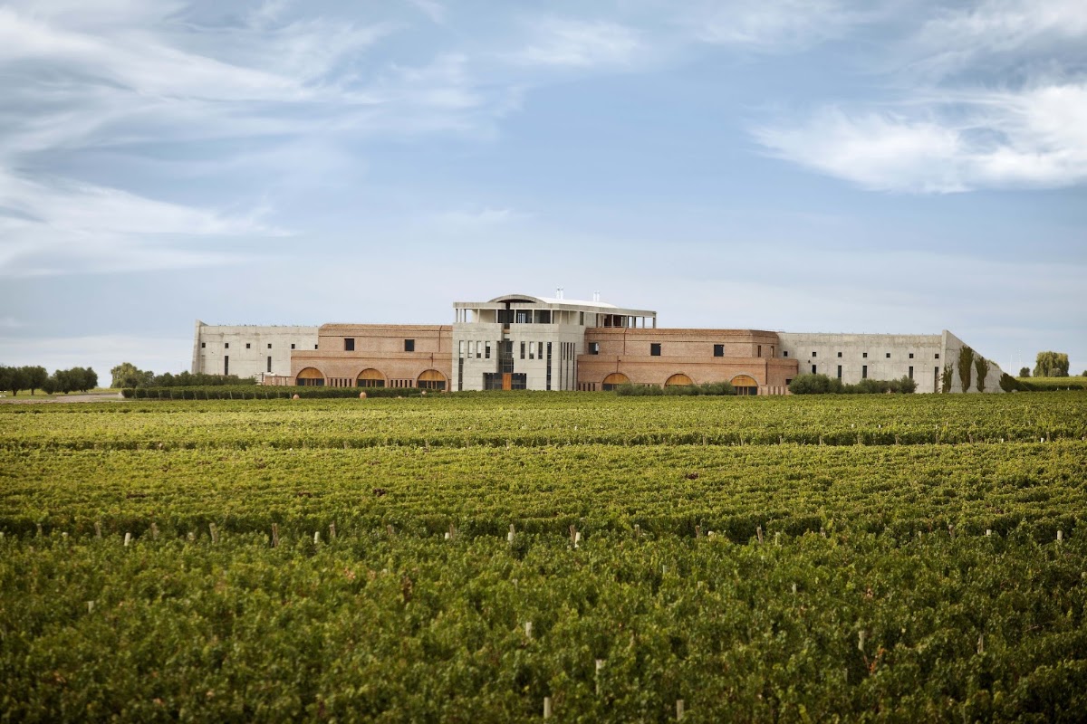 Bodega Monteviejo