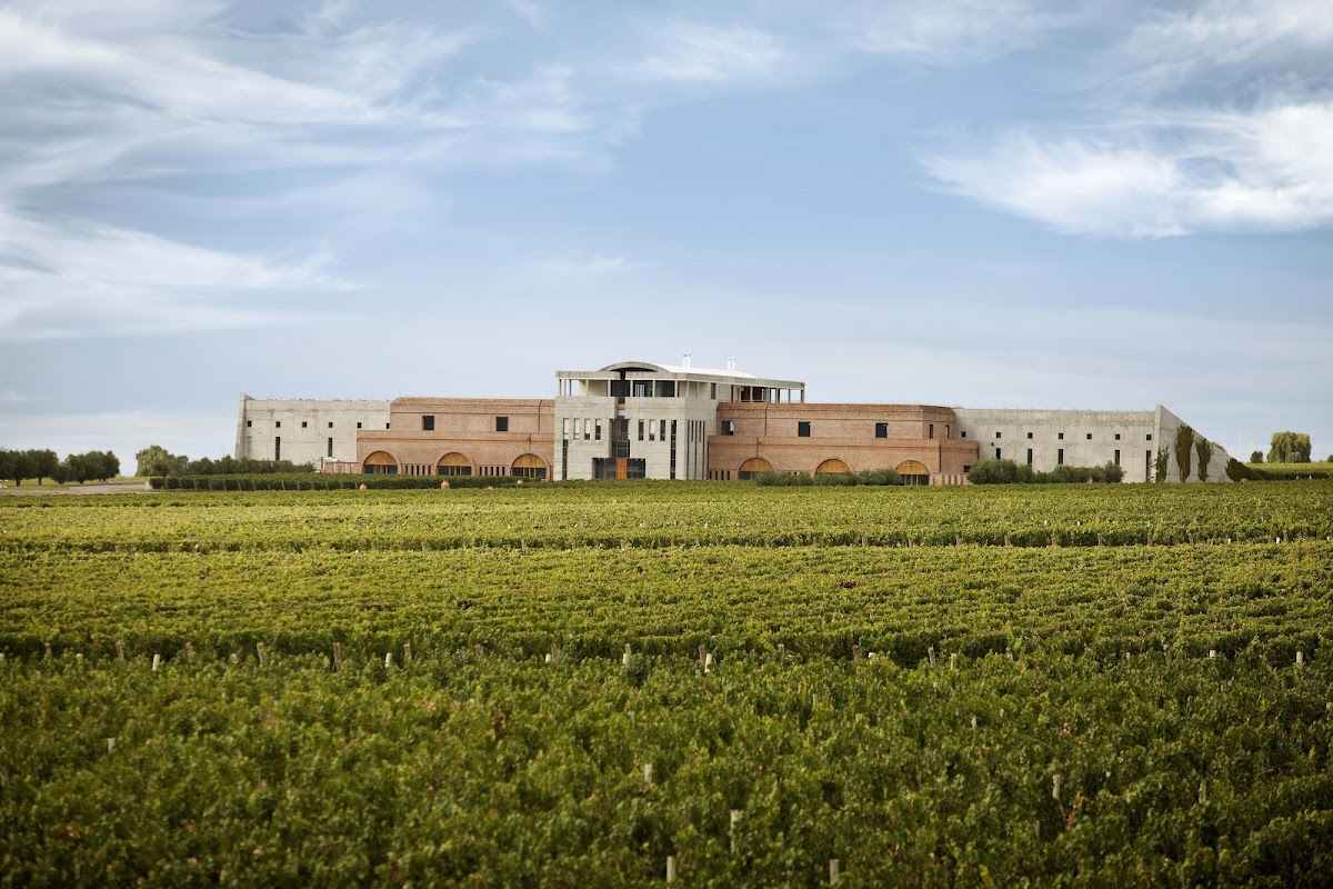 Bodega Monteviejo