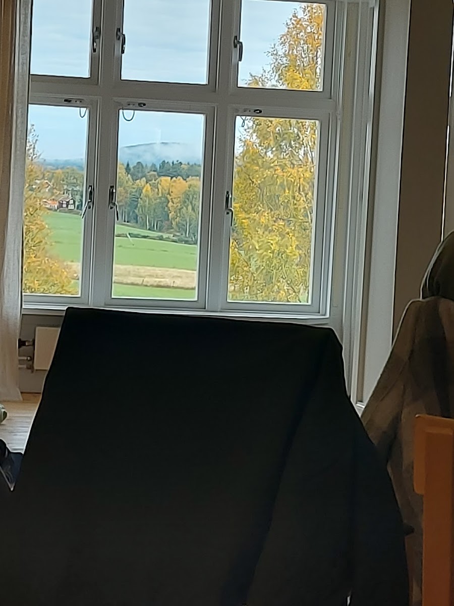 Åsa Älander