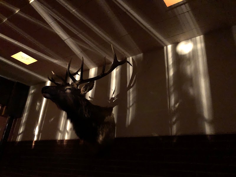 Electric Sundown photo 4