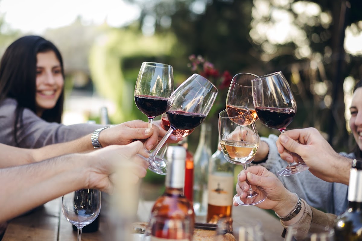 Netofa Winery