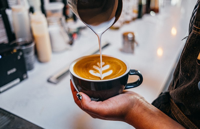 Foxtail Coffee - Carrollwood photo 2