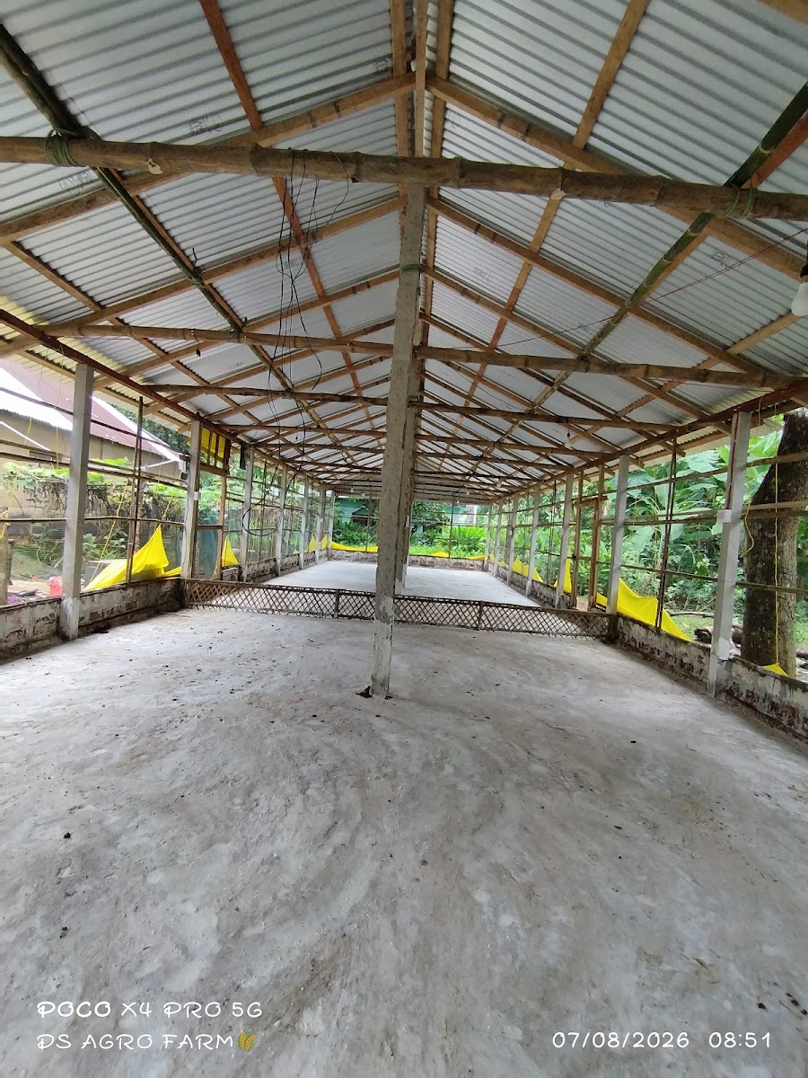 Debajit's Khamarbari Poultry Farm Google photo 1