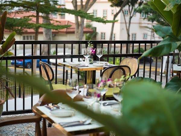 Frangipaani - Photo 1