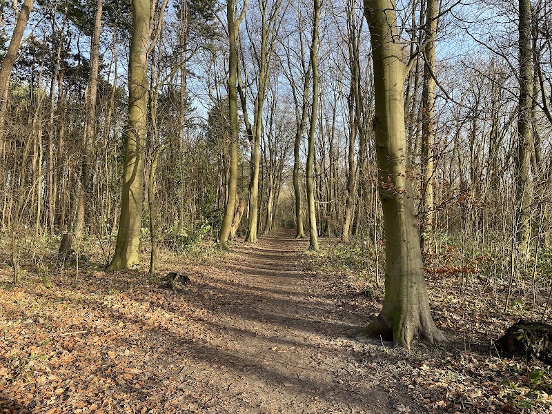 Klein Leeuwenhorst