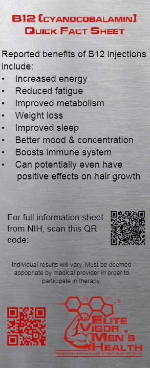 Elite Vigor Health & Wellness photo 3