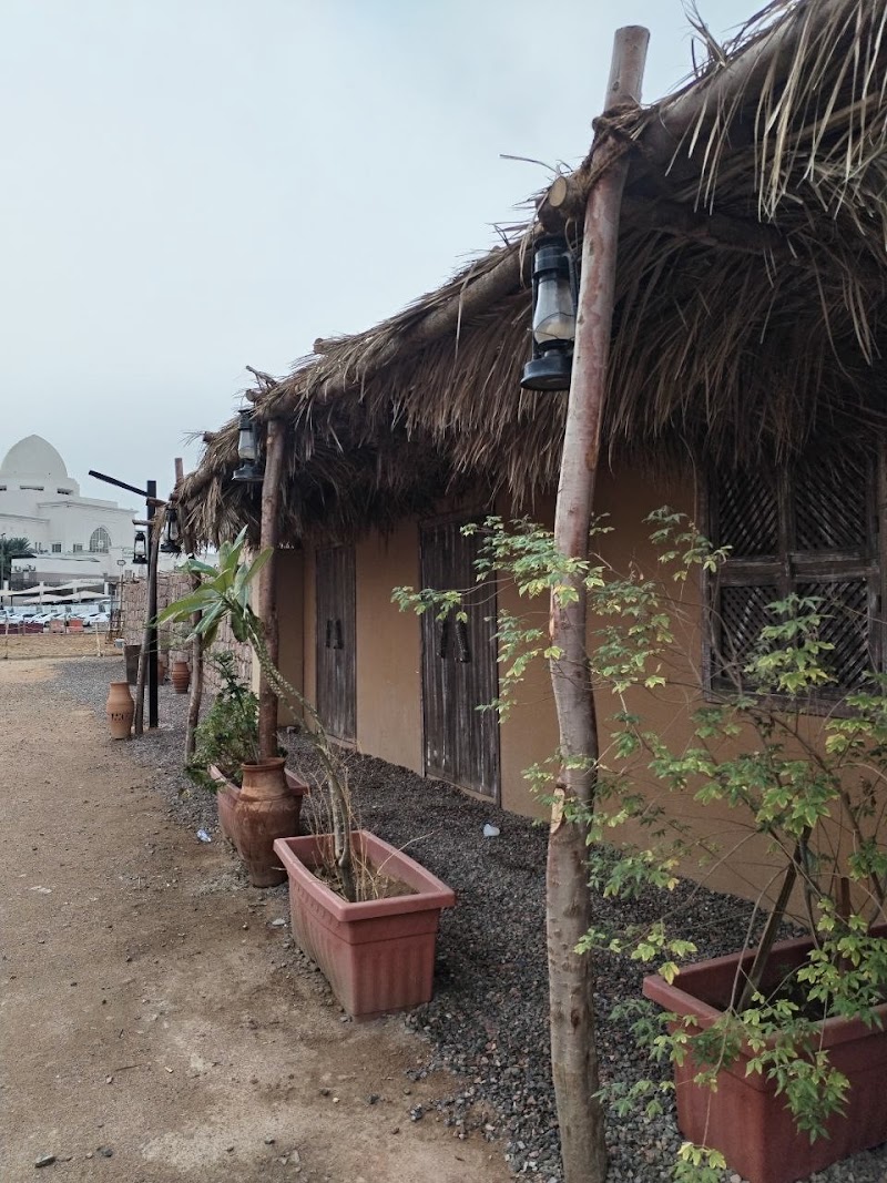 مطعم ضيوف المدينة الجزائري photo 3