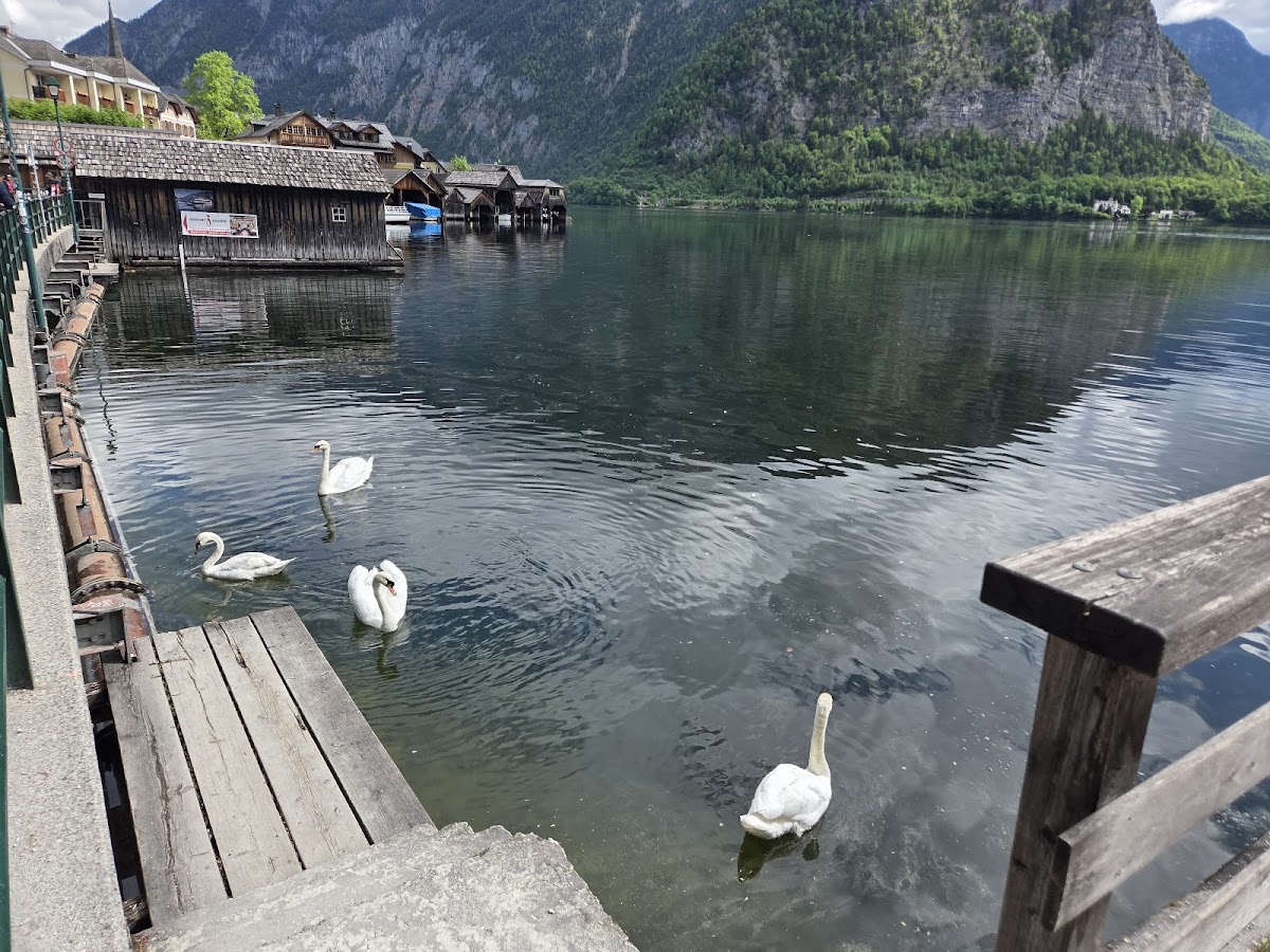 Hallstatt lakeview point
