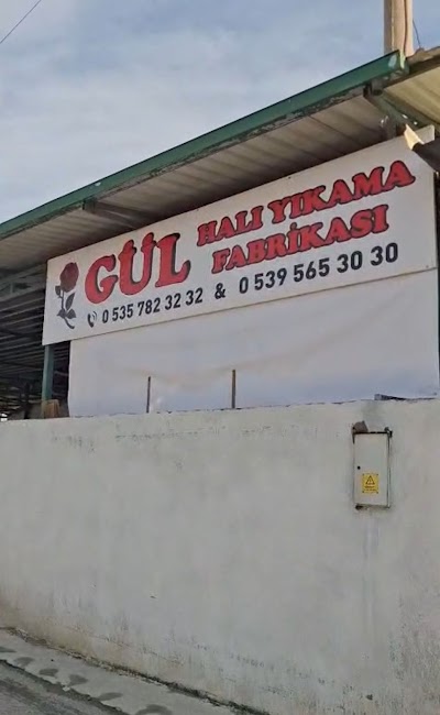 Gül Halı - Temizlik