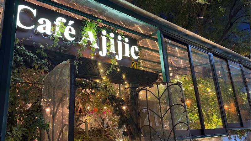 Café Ajijic photo 1