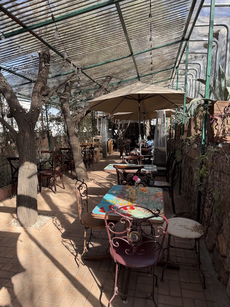 Café Ajijic photo 1