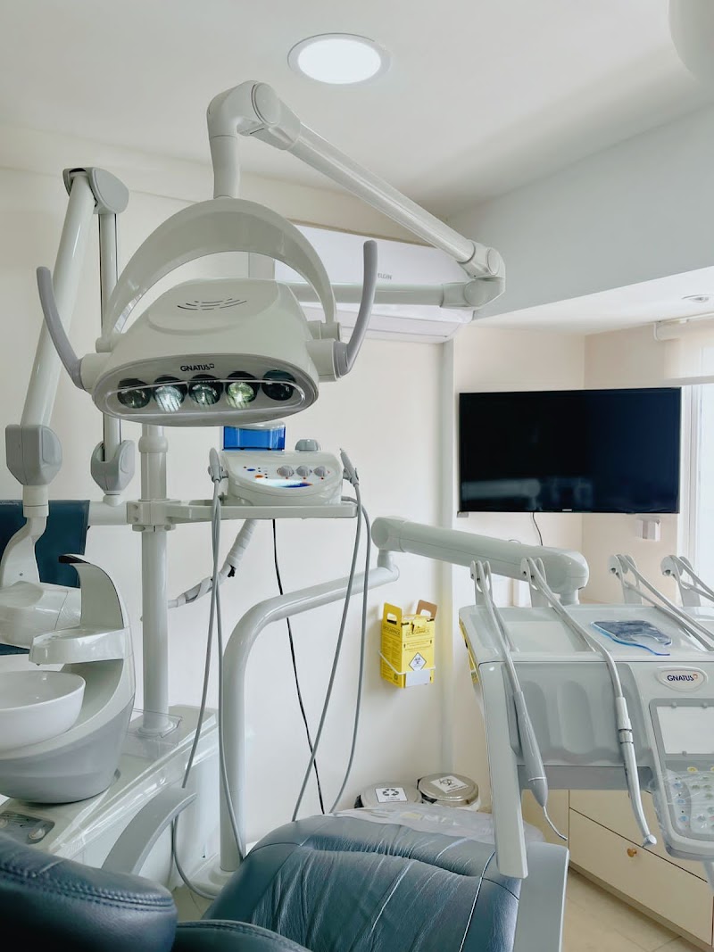 Dra Luísa Faber - foto 1