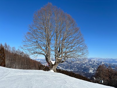 Myoko Suginohara Ski Area - 6