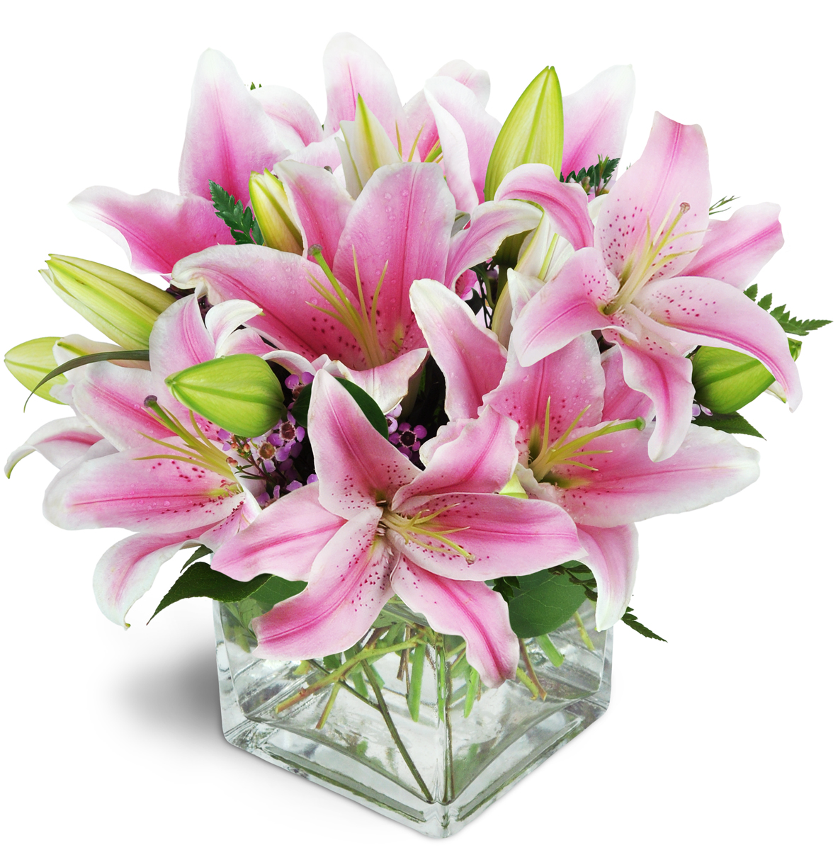 Doral Flower District & Design: Google Places image 5