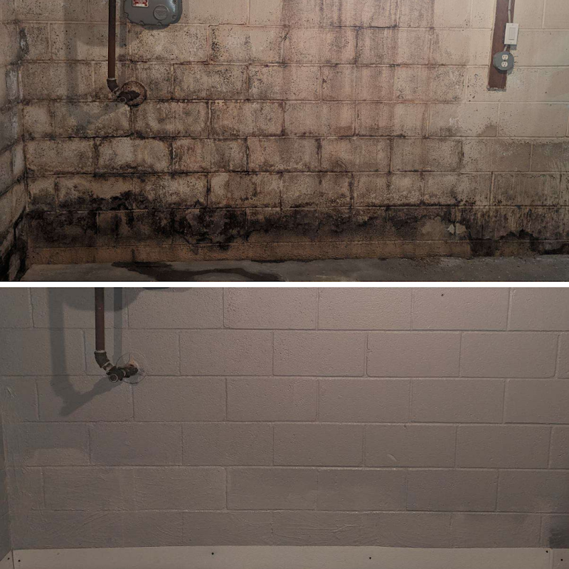 Comprehensive Mold — photo
