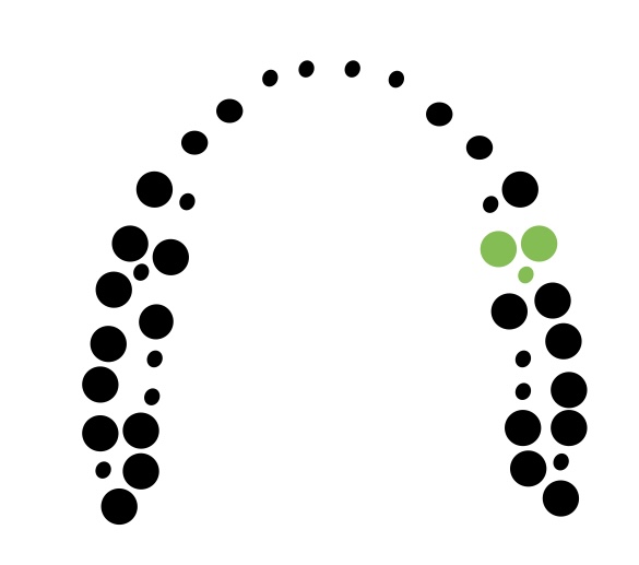 Odontomicroscopia - foto 3