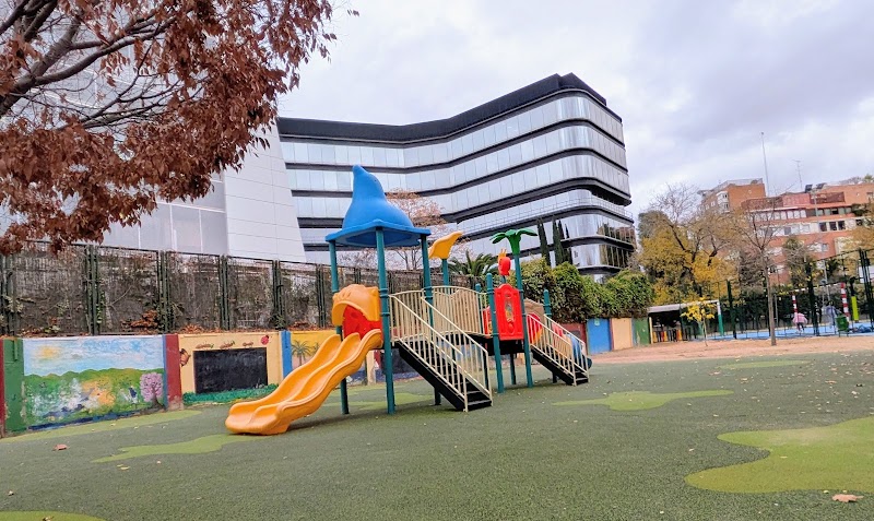 C.e.i.p. Bishop Patriarch Eijo Garay