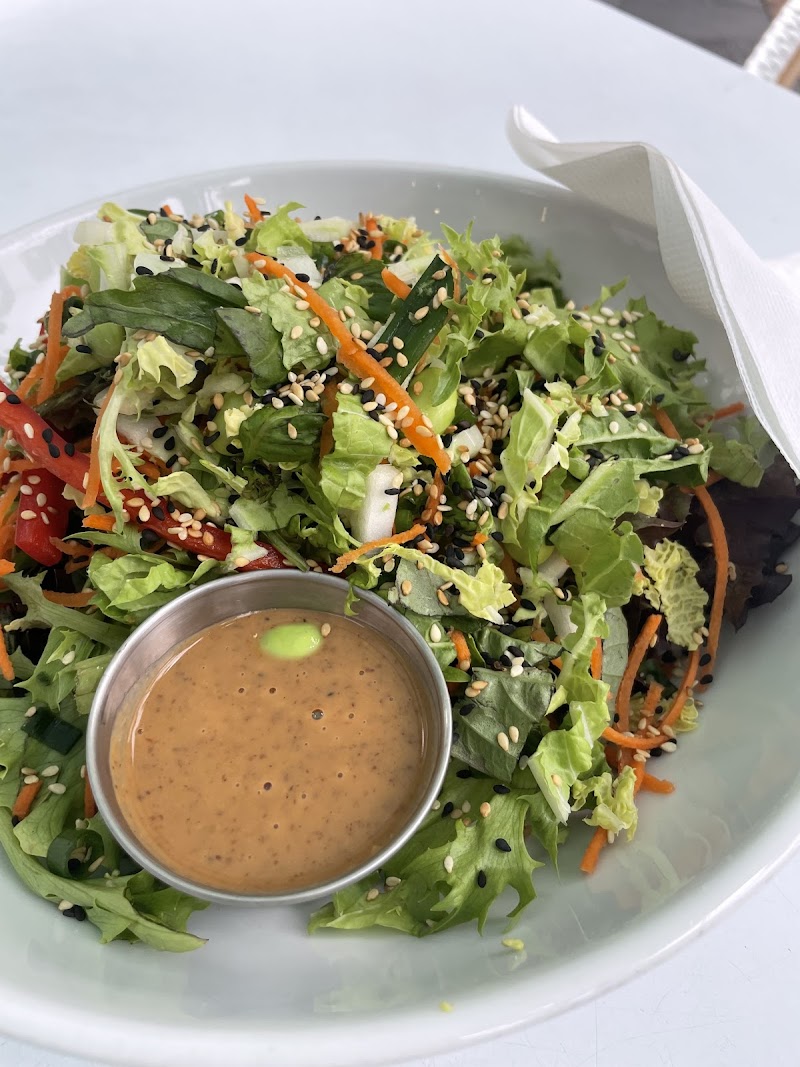 Pura Vida Miami photo 3