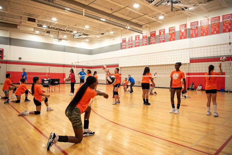 The Volleyball School