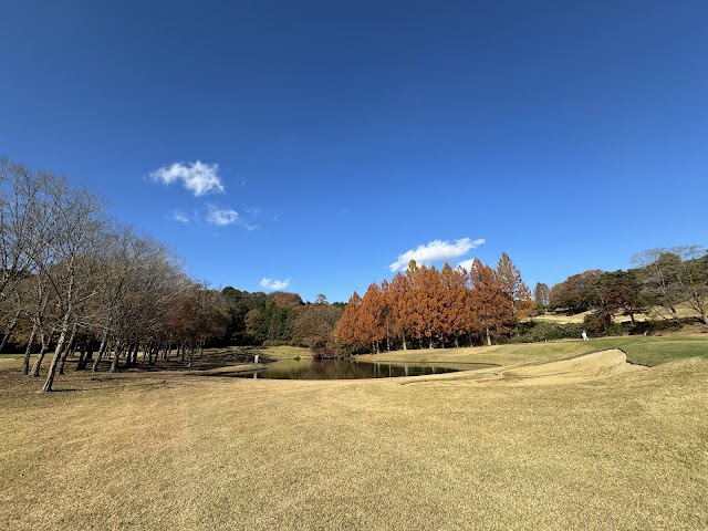Asami Golf Club - Photo 7
