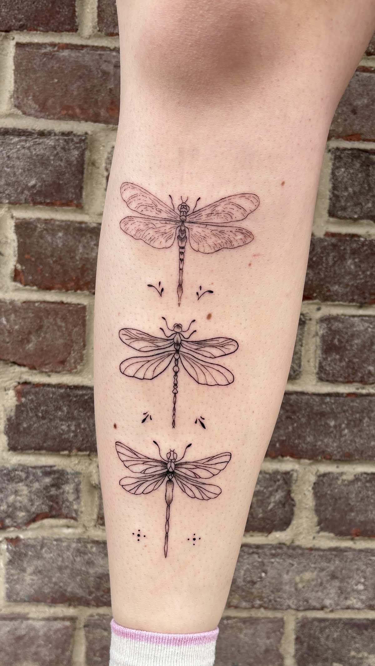 Shayde Studio Tattoo tattoo work — photo 3