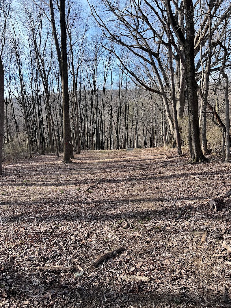 Camp Swatara Disc Golf Course photo 1