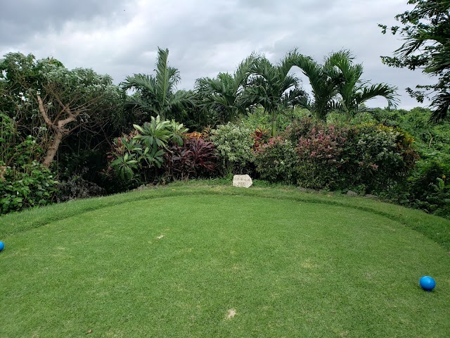 Obama Island Country Club - Photo 5