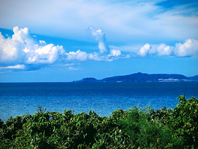 Obama Island Country Club - Photo 9
