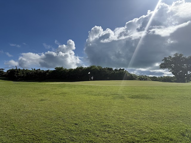 Obama Island Country Club - Photo 1