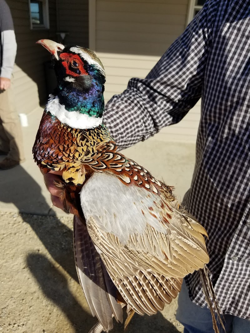 Magnolia Game Farm - Photo 1