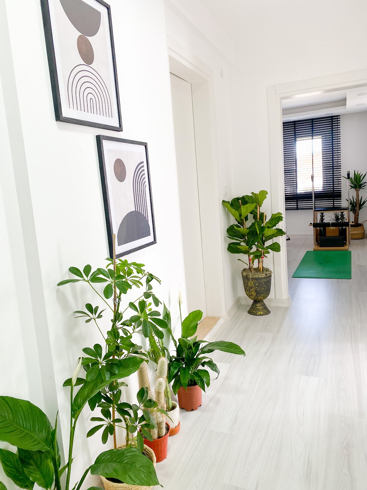 Hola Pilates Studio — 4
