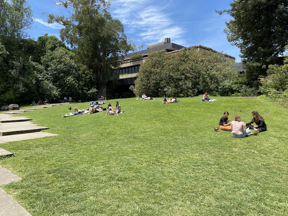 Jardim da Fundação Calouste Gulbenkian fotoğraf 1