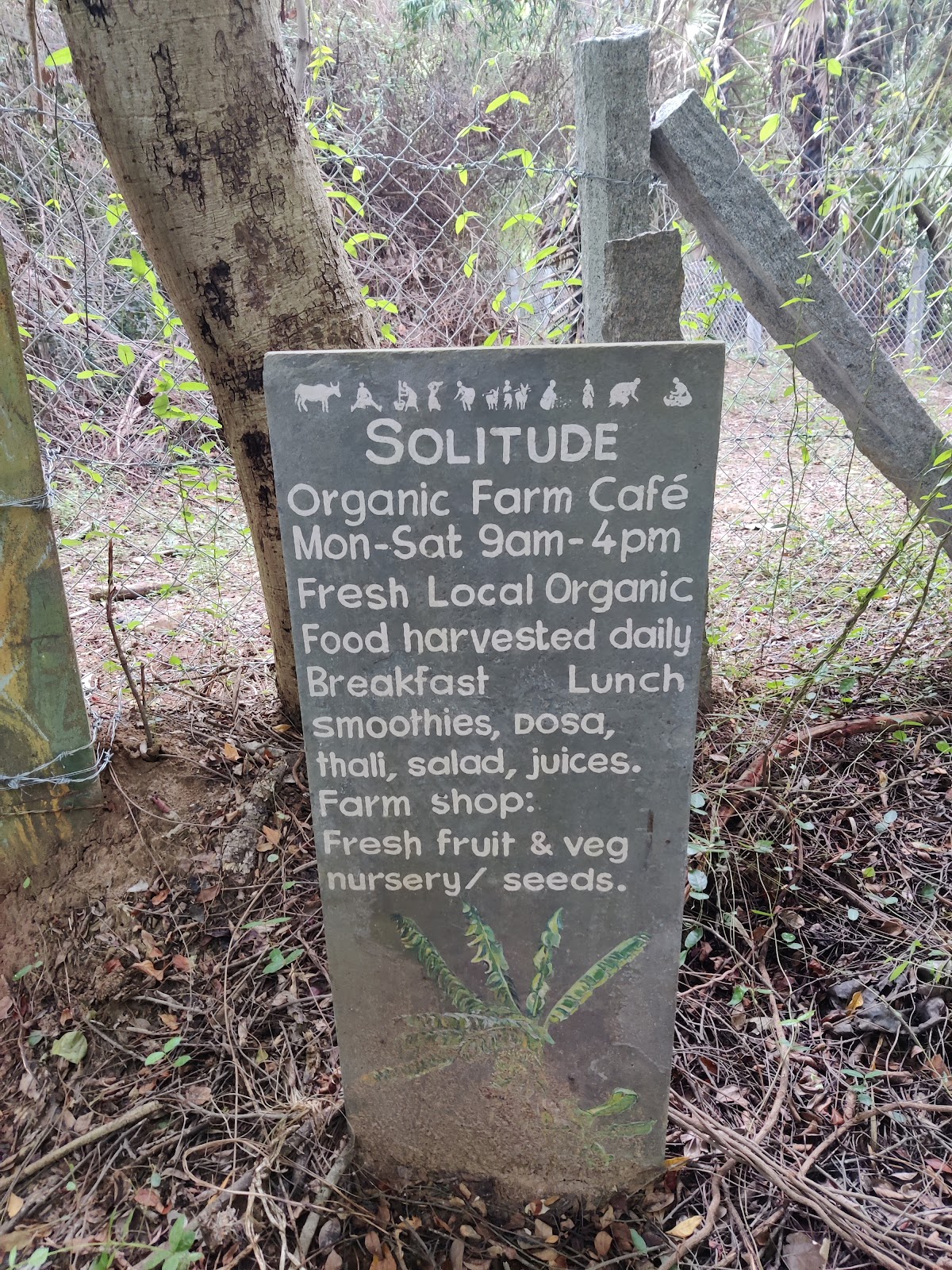 Solitude Farm of Auroville — 3