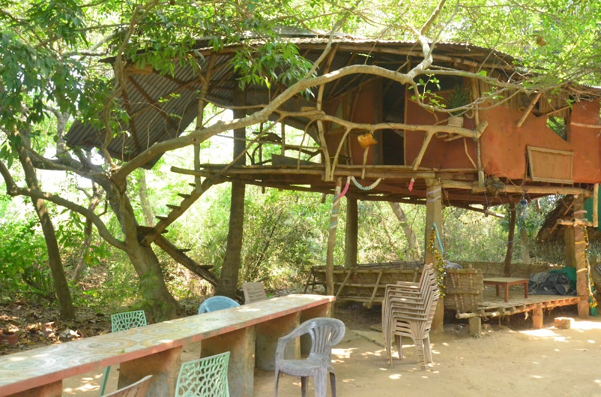 Solitude Farm of Auroville — 4