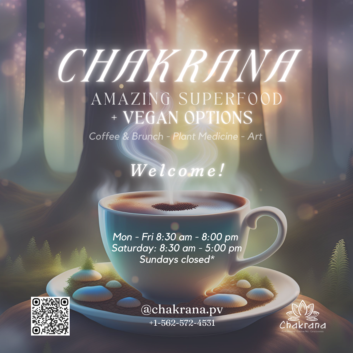 Chakrana - #1 Ayahuasca & Plant Medicine in Puerto Vallarta, Mexico. — 4