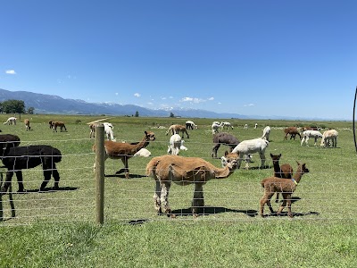 Sentinel Ranch Alpacas