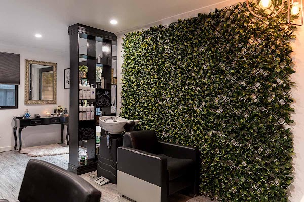 Design For Hair photo 3