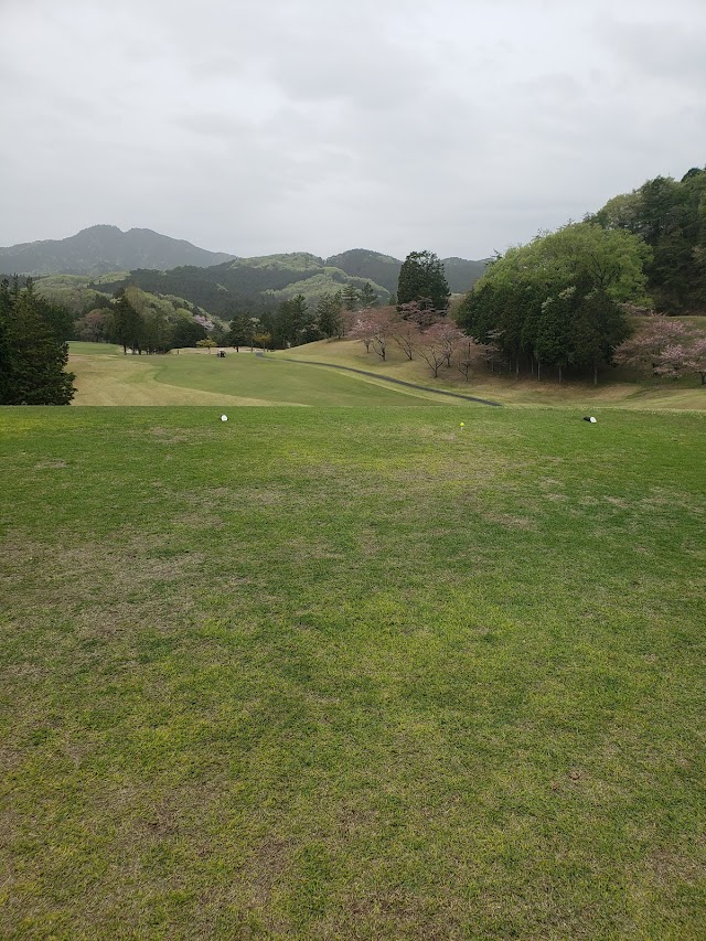Koryo Country Club - Photo 7