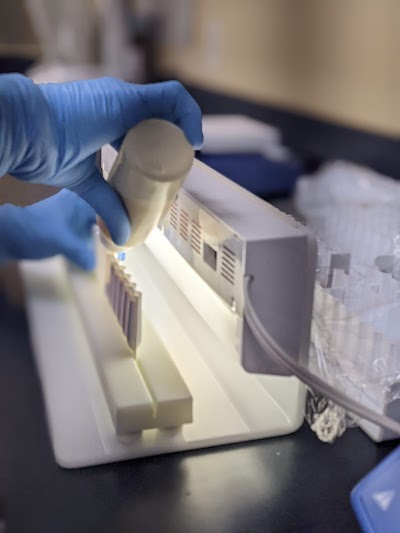 Vashan Bioidentical Hormone Therapy of Maryland photo 3