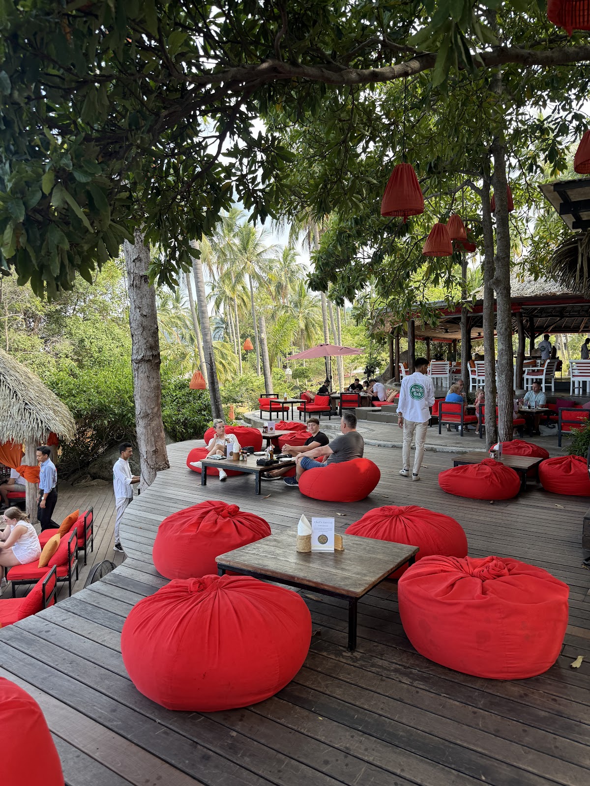 The Jungle Club - Main view