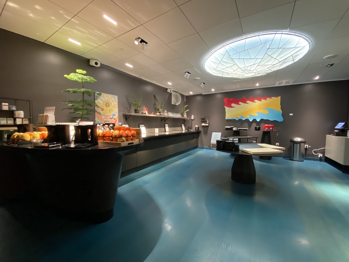 Hotel AX, dog-friendly hotel, photo 2