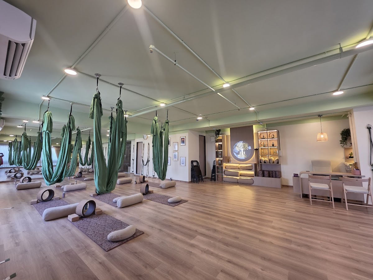 Yogis Academy — 4