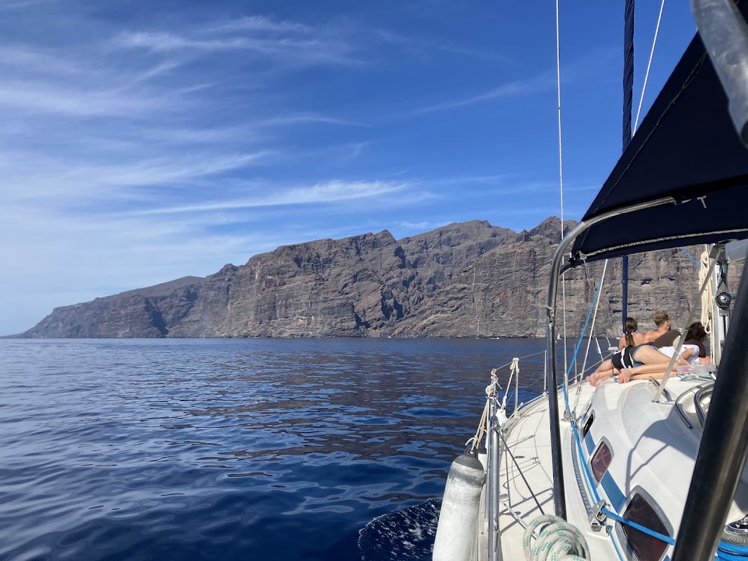 Whale Watching Tour from Los Gigantes photo 4